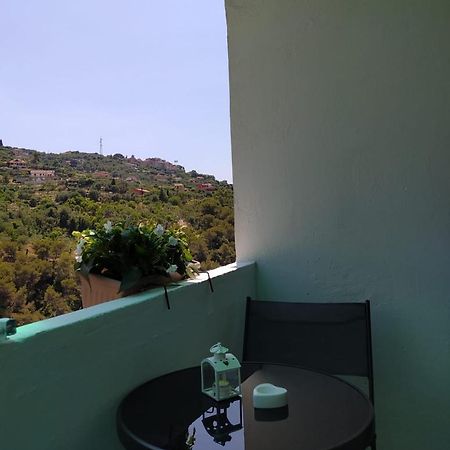 Ca' Isabella Apartment Vallebona Exterior photo